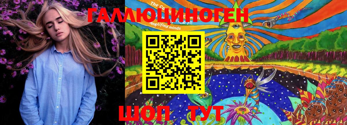 Галлюциногенные грибы Psilocybe Михайловск